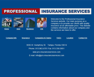 Professional Insurance Services